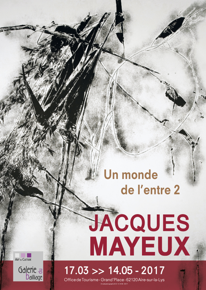 Affiche jacques mayeux