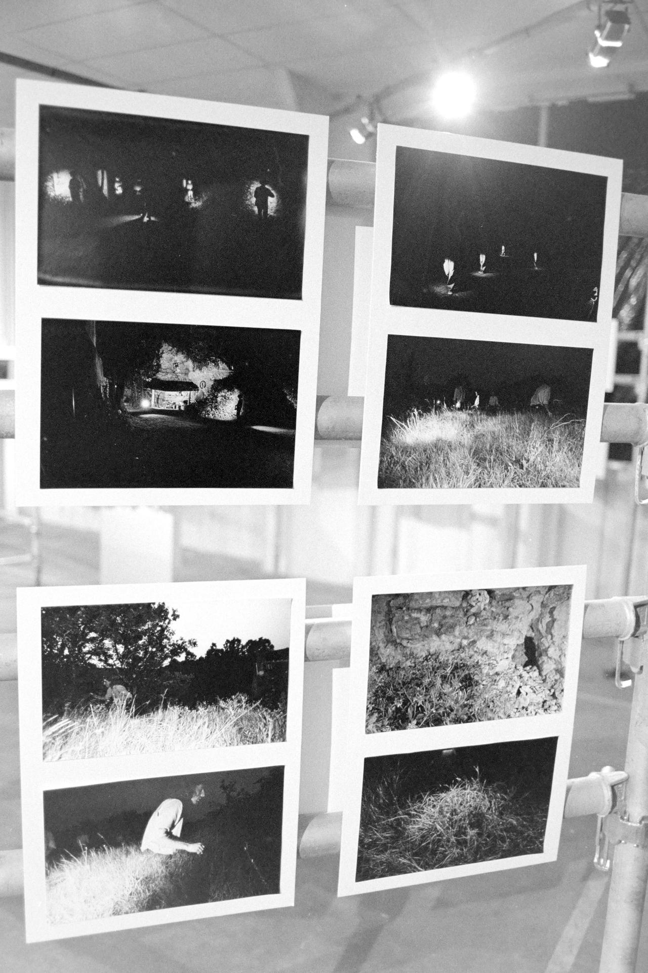 Bdphot6