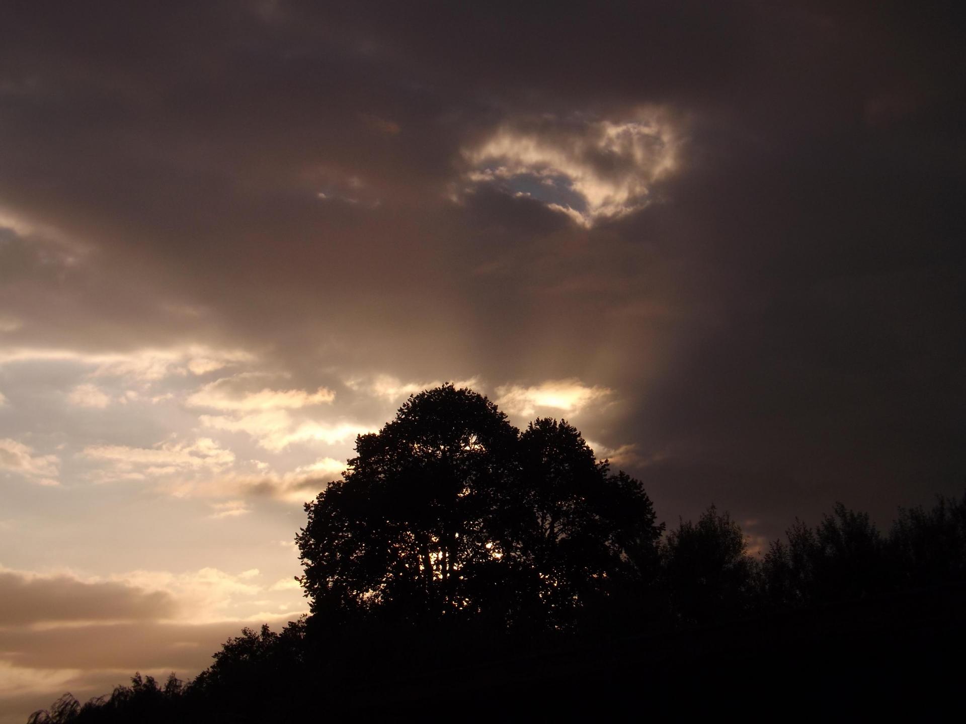 Campagne d aire sur la lys soir