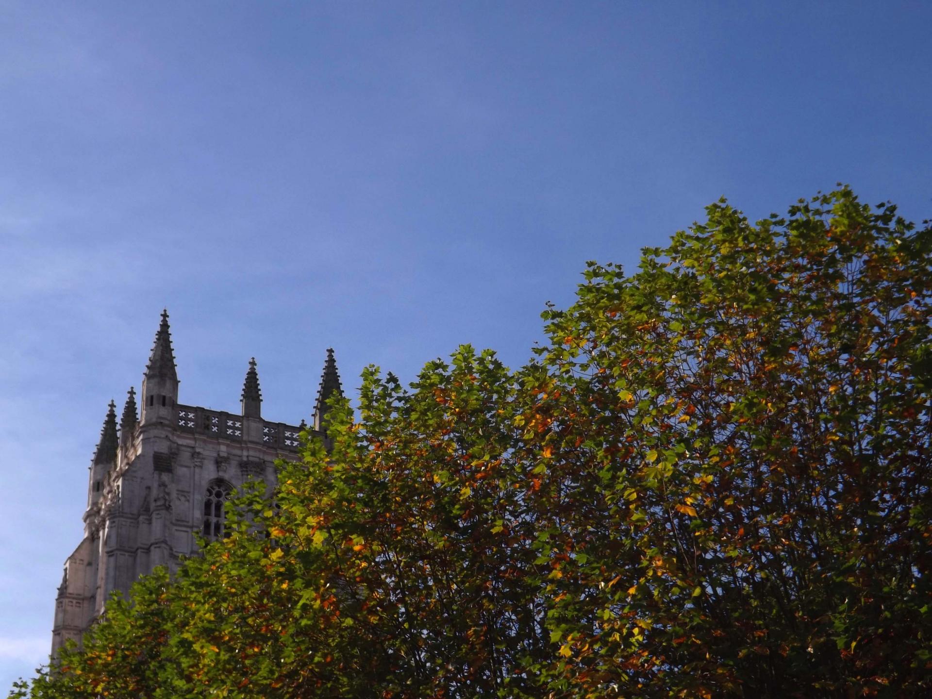 Collegiale printemps