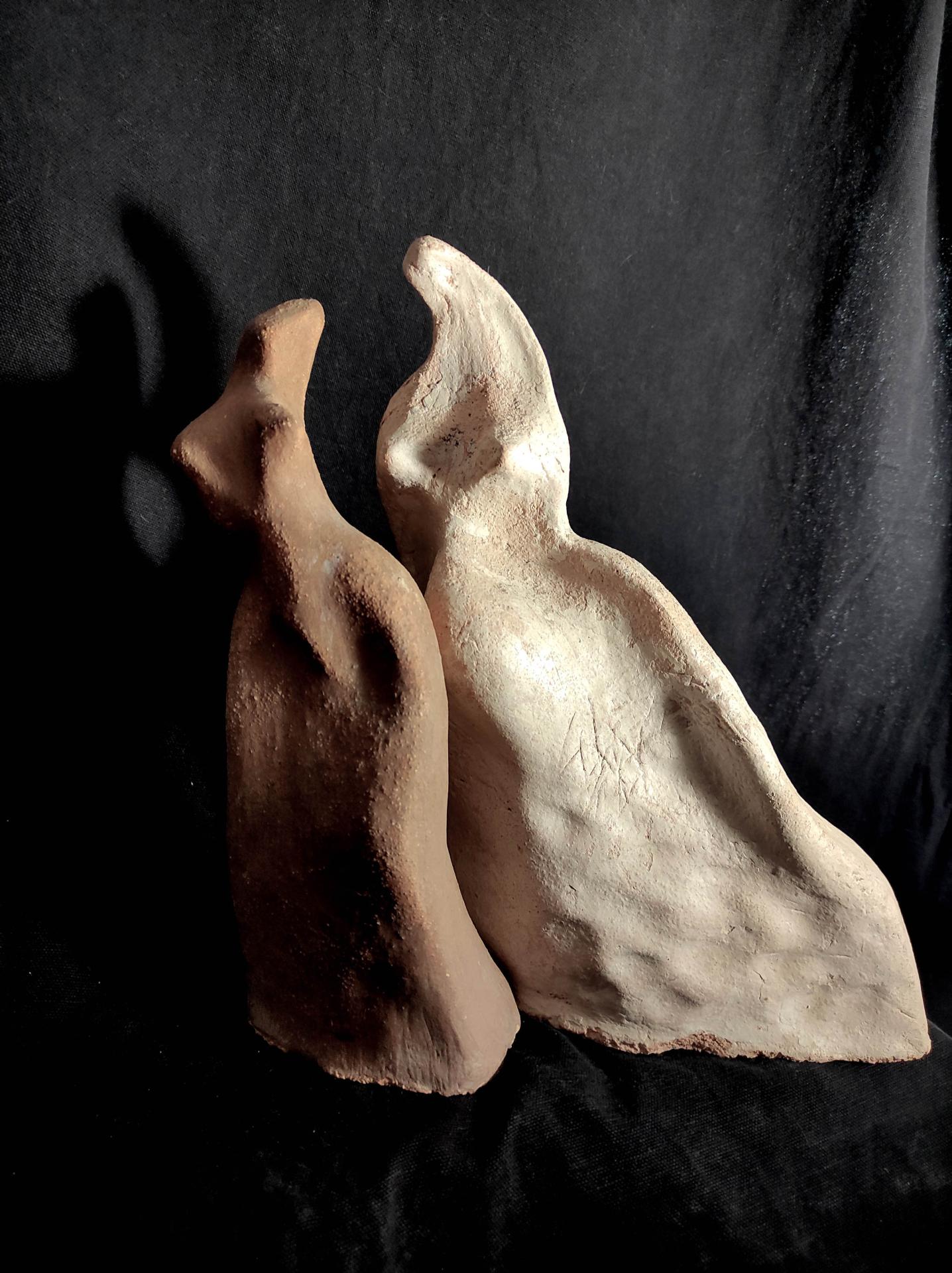 Flammeyantes duo 1 bd