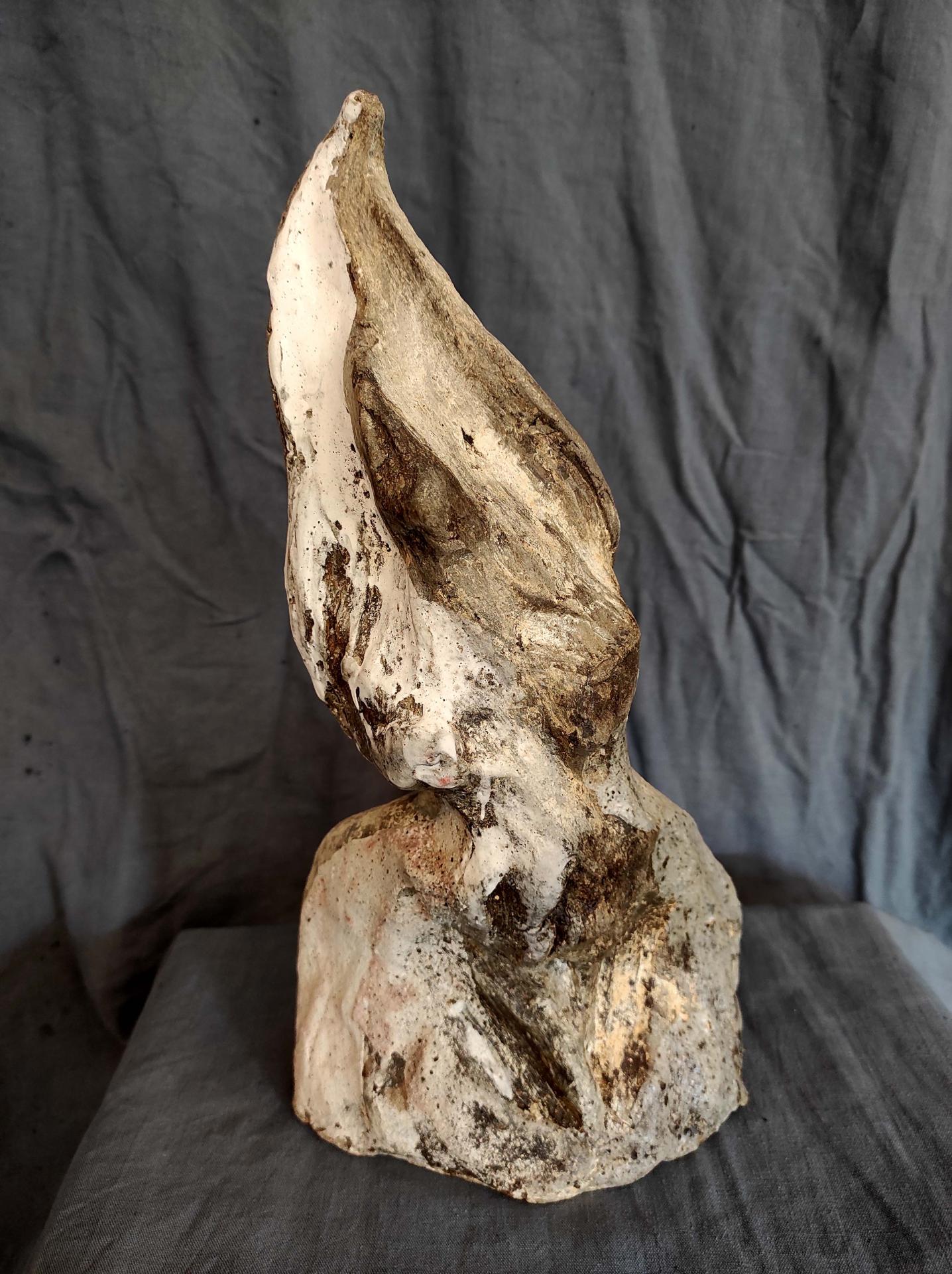 Sculpt51