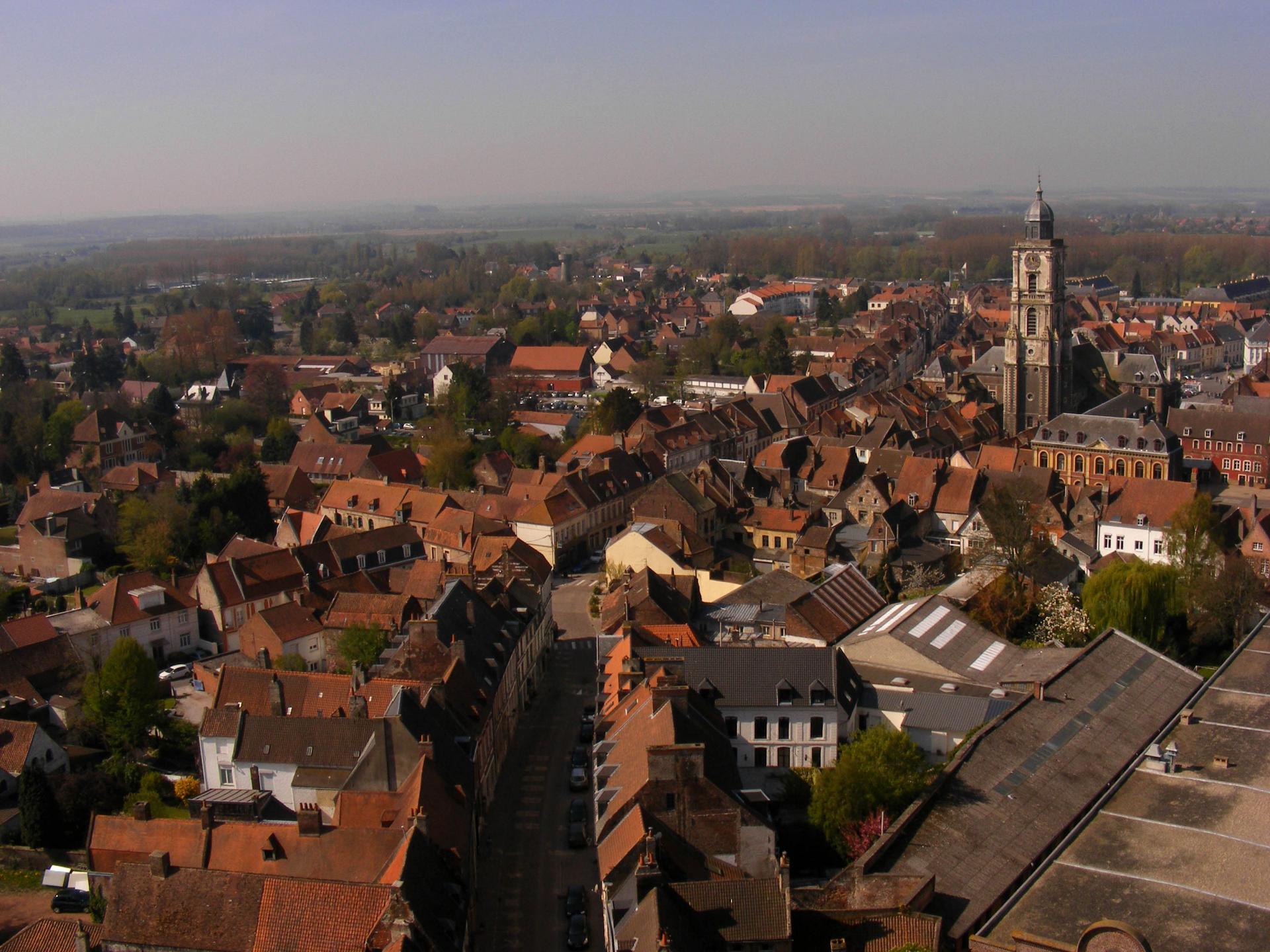 Vue par la tour de la collegiale saint pierre copie